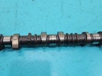 Wałek rozrządu Ford Edge II 2.0 ECOBOOST