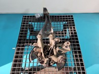 Piasta koła tył lewa zwrotnica łożysko LEXUS NX I 14-21 2.0 T