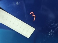 DRZWI PRZÓD PRAWE PASAŻERA Vw New Beetle 98- 2d granatowy, LG5V