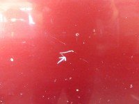 Maska przednia Fiat Doblo I bordowy 124
