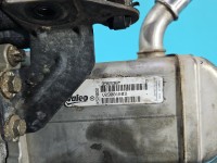 Chłodnica spalin Renault Megane III 8200804050 1.9 dci