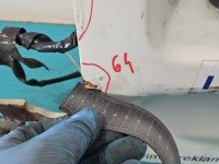 Drzwi tył lewe Ford Transit Connect I MK1 HB 5d biały AA