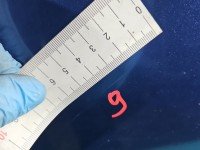 Błotnik przód lewy Dacia Sandero II 12-20 granatowy TERPK