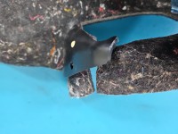 Tapicerka bagażnika prawa boczek Jaguar XE X760