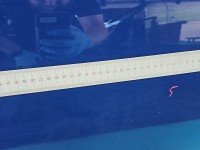 Drzwi tył prawe Opel Astra V K kombi 5d granatowy Y23A