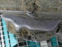 Skrzynia biegów Opel Astra I F 1.7d