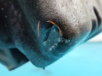 Silnik Opel Corsa E 1.4 16V 75KM ODPALANY FILM pomiar