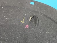 Wygłuszenie maski PODBITKA Skoda Scala 2019-