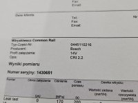 TESTOWANY Wtryskiwacz Bmw e60 e61 0445110216, 7794435 3.0d (M57T)