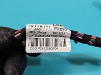 Instalacja Wiązka drzwi przód lewych Infiniti Q30 241255DF0A