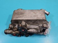 Chłodnica oleju Alfa romeo 159 55184782 1.9 jts