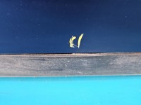 Drzwi tył lewe Vw Passat B6 sedan 4d LD5Q