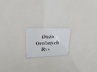 Drzwi tył prawe Hyundai Ix35 HB 5d 1K