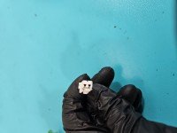 Poduszki powietrzne zestaw komplet Fiat Seicento