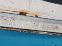 DRZWI PRZÓD PRAWE PASAŻERA Fiat Ducato III 06-14 boxer jumper 5d biały