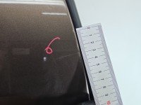 Drzwi tył prawe Renault Scenic III HB 5d brązowy TECNB