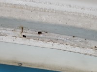 Maska przednia Peugeot Partner II biały EWP