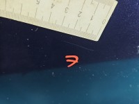 DRZWI PRZÓD LEWE KIEROWCY Renault Scenic I 5d granatowy TEF43