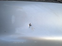 Zderzak tył tylny Vw Polo III 6N HB srebrny