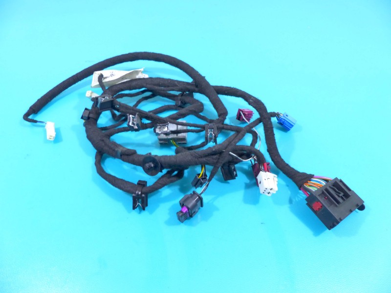 Instalacja Wiązka drzwi przód lewych Maserati Ghibli III 13- 06700086120