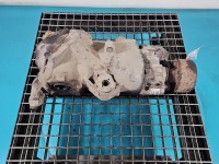 Most tylny DYFER tył Volvo XC90 I 02- P1216612 2.4 D5 (D5244T)