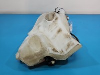 Zbiornik Zbiorniczek płynu spryskiwacza Citroen DS4 11-15 9671317080