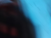 InstalacJa Wiązka silnika 39134911 2.0 T Opel Insignia B