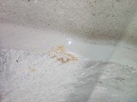 Błotnik przód prawy Chevrolet Aveo T250