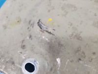 Osłona Hyundai Elantra VII 20- 1.6 16V