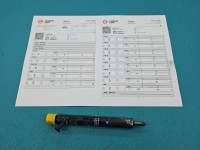 Wtryskiwacz Renault Megane II 1.5 dci