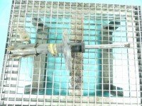 Amortyzator przód lewy przedni Peugeot 508 I