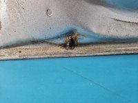 Klapa tył Toyota Rav4 III 05- HB 5d srebrny 1F7 Klapa tył Toyota Rav4 III 05- HB 5d srebrny 1F7