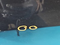 DRZWI PRZÓD LEWE KIEROWCY BMW X6 E71 5d czarny black sapphire metallic 475/9