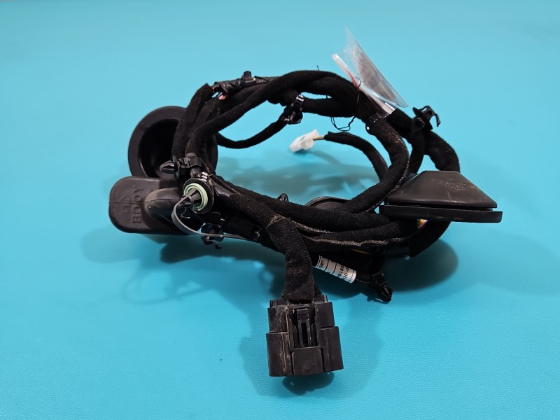 Instalacja Wiązka drzwi tył prawych Kia Niro I 16-22 91660-G5191