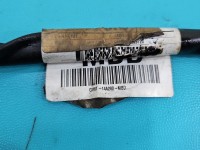 Wiązka instalacja Producent części: FORD, Przewód masowy, GV6T-14A280-MBD Ford Kuga Mk2 II 13-19