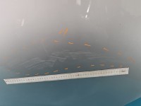 Drzwi tył lewe Toyota Auris II HB 5d srebrny, 1F7