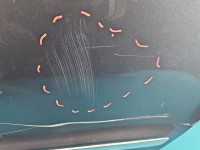 Drzwi tył lewe Skoda Superb II HB 5d LF8J