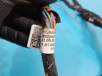 Instalacja Wiązka drzwi przód lewych Kia Picanto III 17- 91981-G6000, 91603-G6900