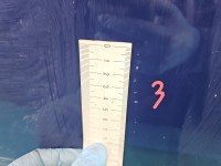 DRZWI PRZÓD PRAWE PASAŻERA Opel Astra IV J 5d Z20Z