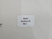 Drzwi tył lewe Toyota Yaris III HB 5d 8s7