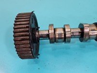 Wałek rozrządu Audi A4 B7 1.9 tdi