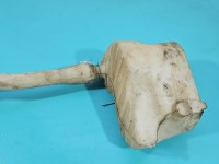 Zbiornik Zbiorniczek płynu spryskiwacza Renault Master III 10-24