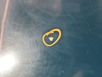 Maska przednia Skoda Felicia