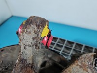 Piasta koła tył prawa zwrotnica łożysko Kia Carnival II 05-14 2.9 crdi