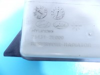Zbiorniczek Zbiornik wyrównawczy Kia Sportage II 04-10 2.0 16v 25431-2E000