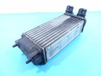 Intercooler CITROEN DS4 15-20 1.6 hdi 9800291280