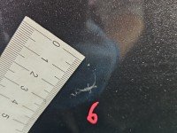 DRZWI PRZÓD LEWE KIEROWCY Toyota Prius II XW20 03- 5d brązowy 1G3