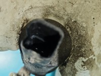 Zbiornik Zbiorniczek płynu spryskiwacza Renault Clio III