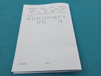 testowany Pompowtryskiwacz 0414720404, 03G130073G 2.0 tdi (BKD)