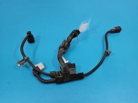 InstalacJa Wiązka silnika Toyota C-HR I 16-23 2.0 16V 82219-F4010-A, 82219-F4010